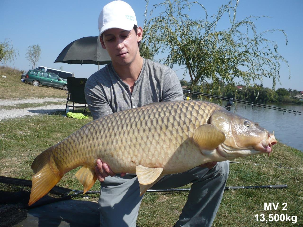 Capturi - p1020842.JPG